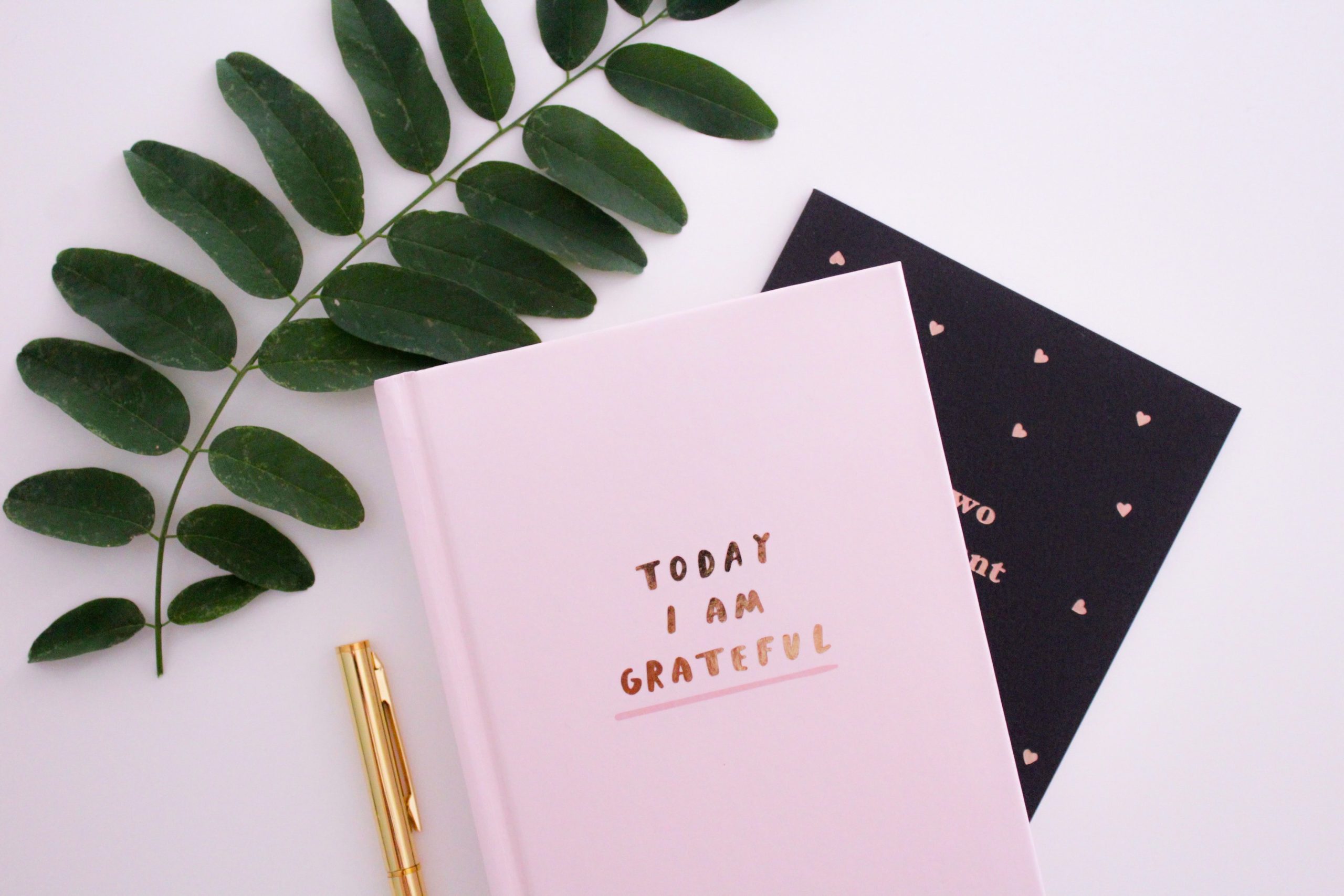 cultivating gratitude