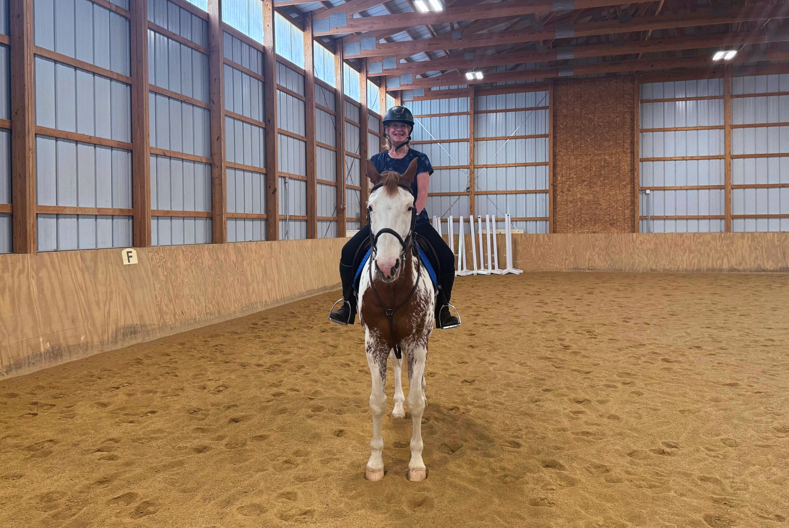 How Horses Taught Me Mindfulness and More