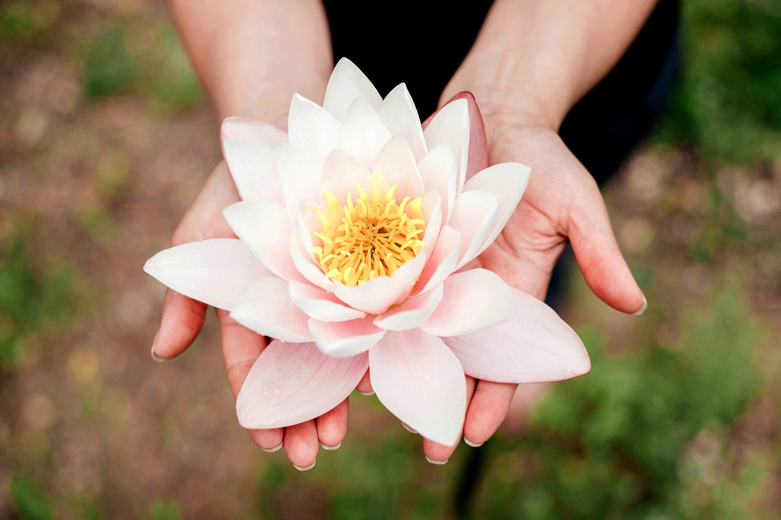 From Perfectionism to Progress: How Grit Transforms Our Potential