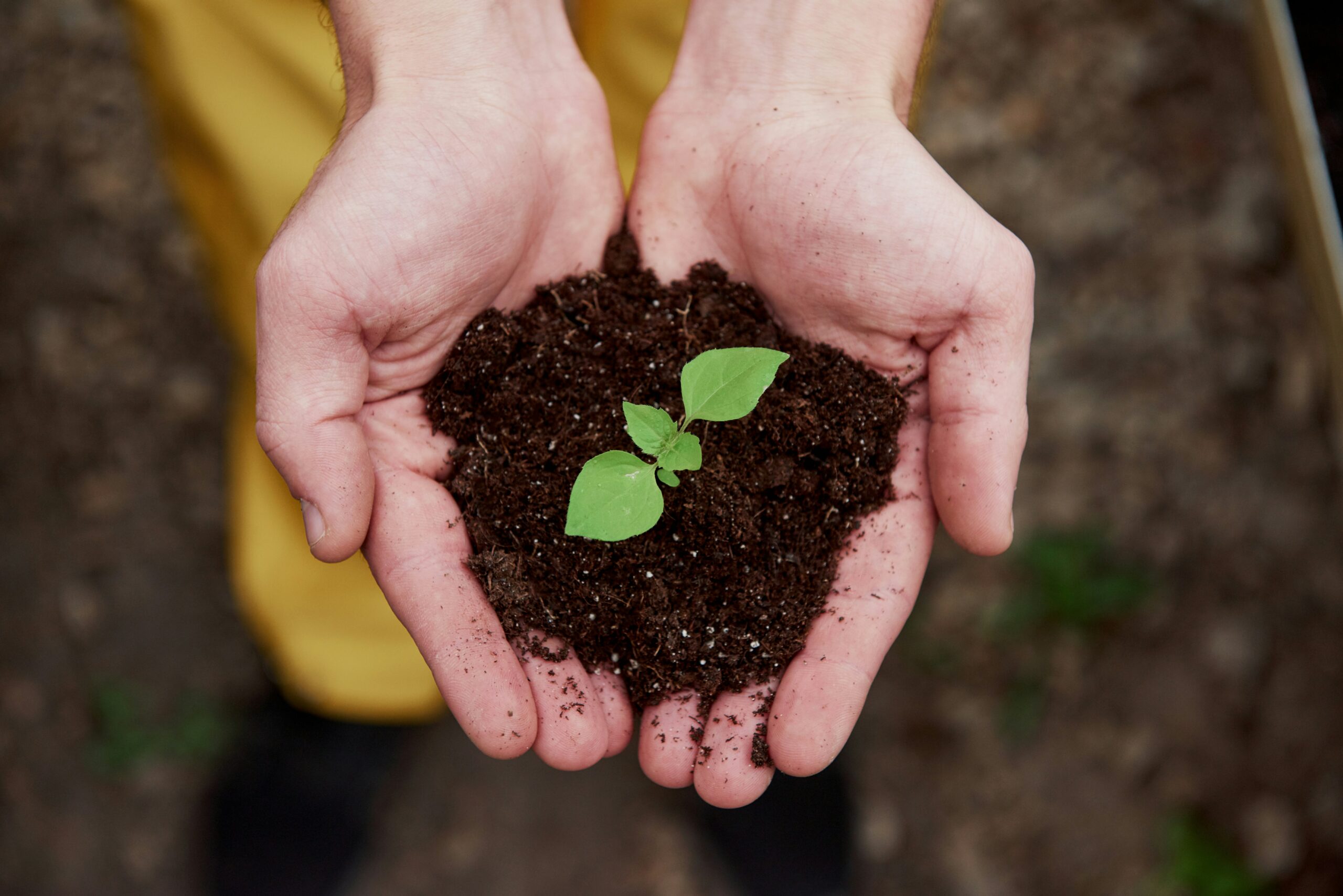 Turning Awareness Into Action: Building Momentum for Mental Health