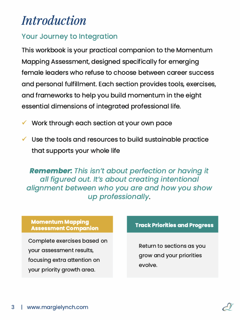 Momemtum Mapping Workbook - 3